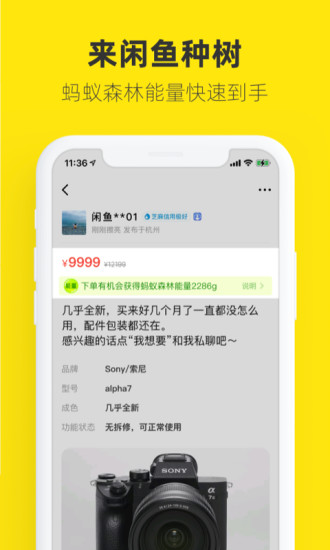 闲鱼app免费下载